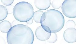 Bubble Day